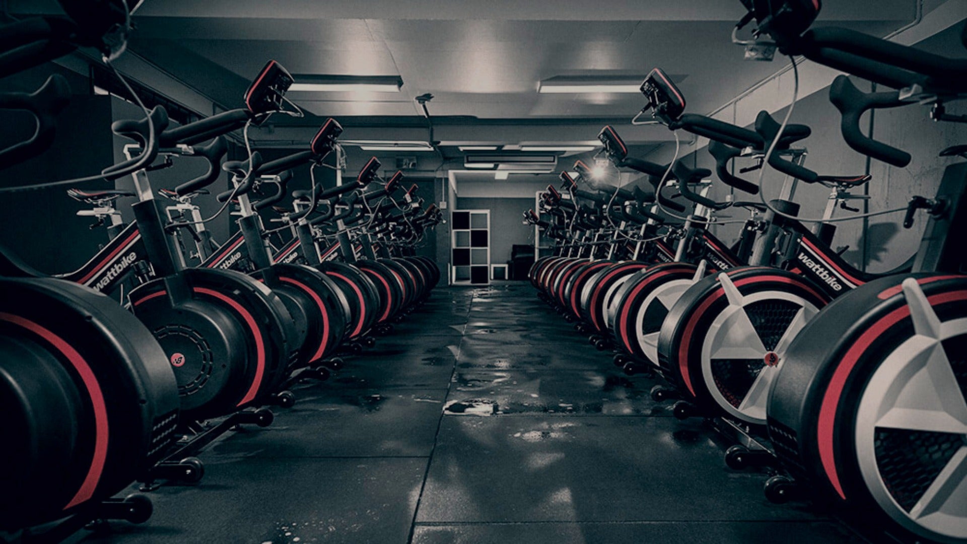 Wattbike spin online class